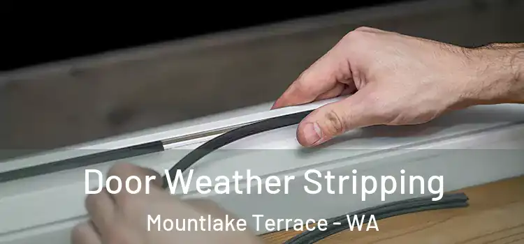 Door Weather Stripping Mountlake Terrace - WA